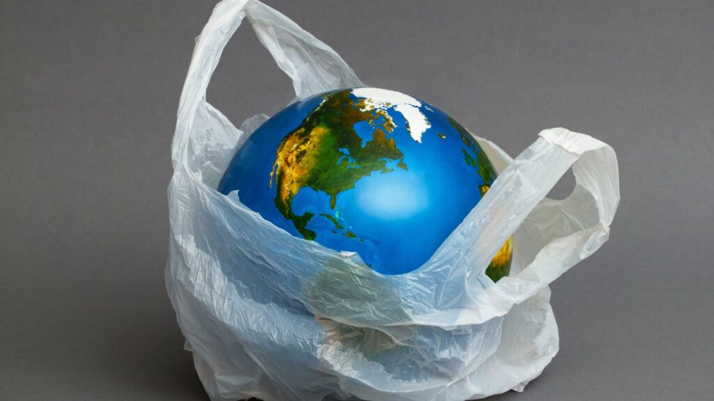 Los plásticos biodegradables ayudan a la conservación del planeta.
